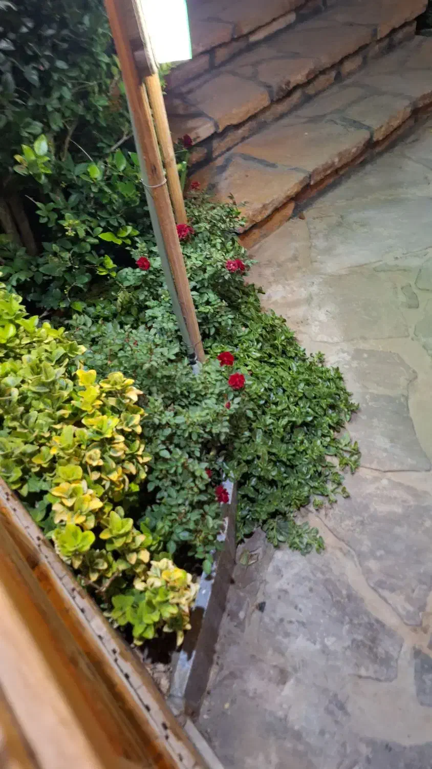 پرستار وخدمات امور منزل|استخدام سرایداری و نظافت|مشهد, سجاد شهر|دیوار