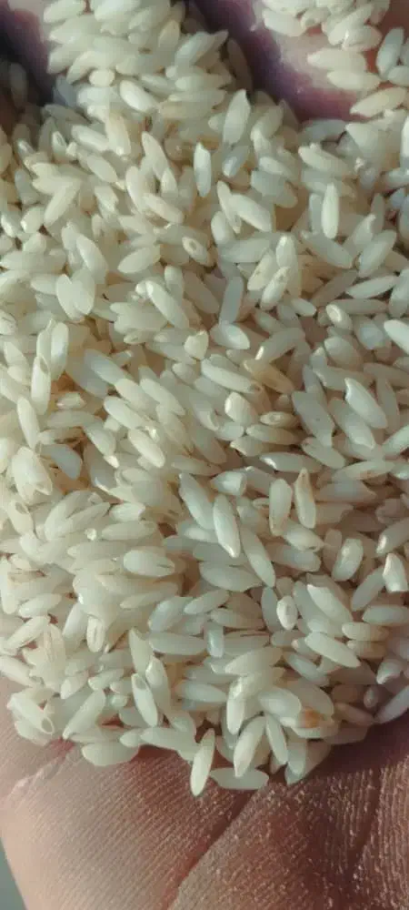 برنج|خوردنی و آشامیدنی|خرمشهر, |دیوار