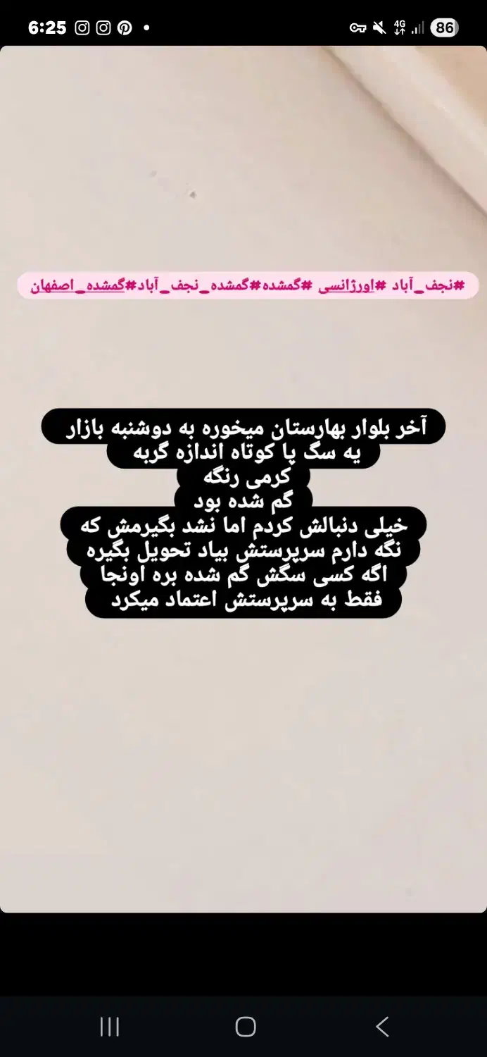 سگ پیدا شده|حیوانات|نجف‌آباد, شیخ آباد|دیوار