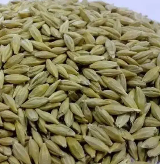 جو دیم تمیز تناژ بالا|عمدهفروشی|پیر سلیمان, |دیوار