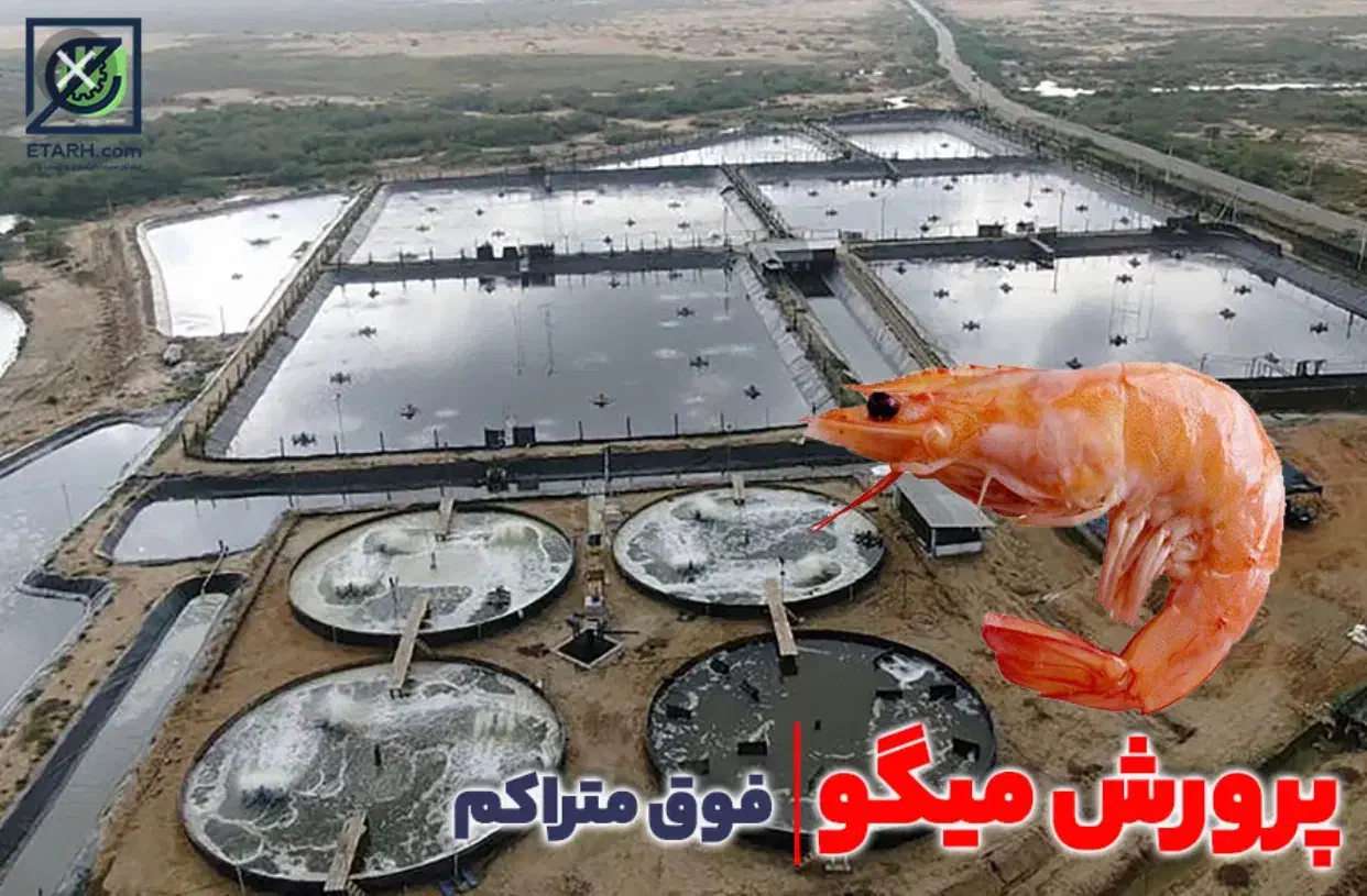 خرید بولدزر و بیل مکانیکی، فروش سهام مزرعه میگو|فروش دفتر صنعتی، کشاورزی، تجاری|اسلام‌شهر, ملک‌آباد|دیوار