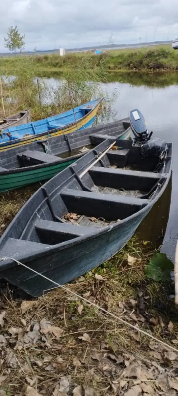 موتور ۴۸ با قایق|قایق و سایر وسایل نقلیه|بندر انزلی, چهارفریضه|دیوار