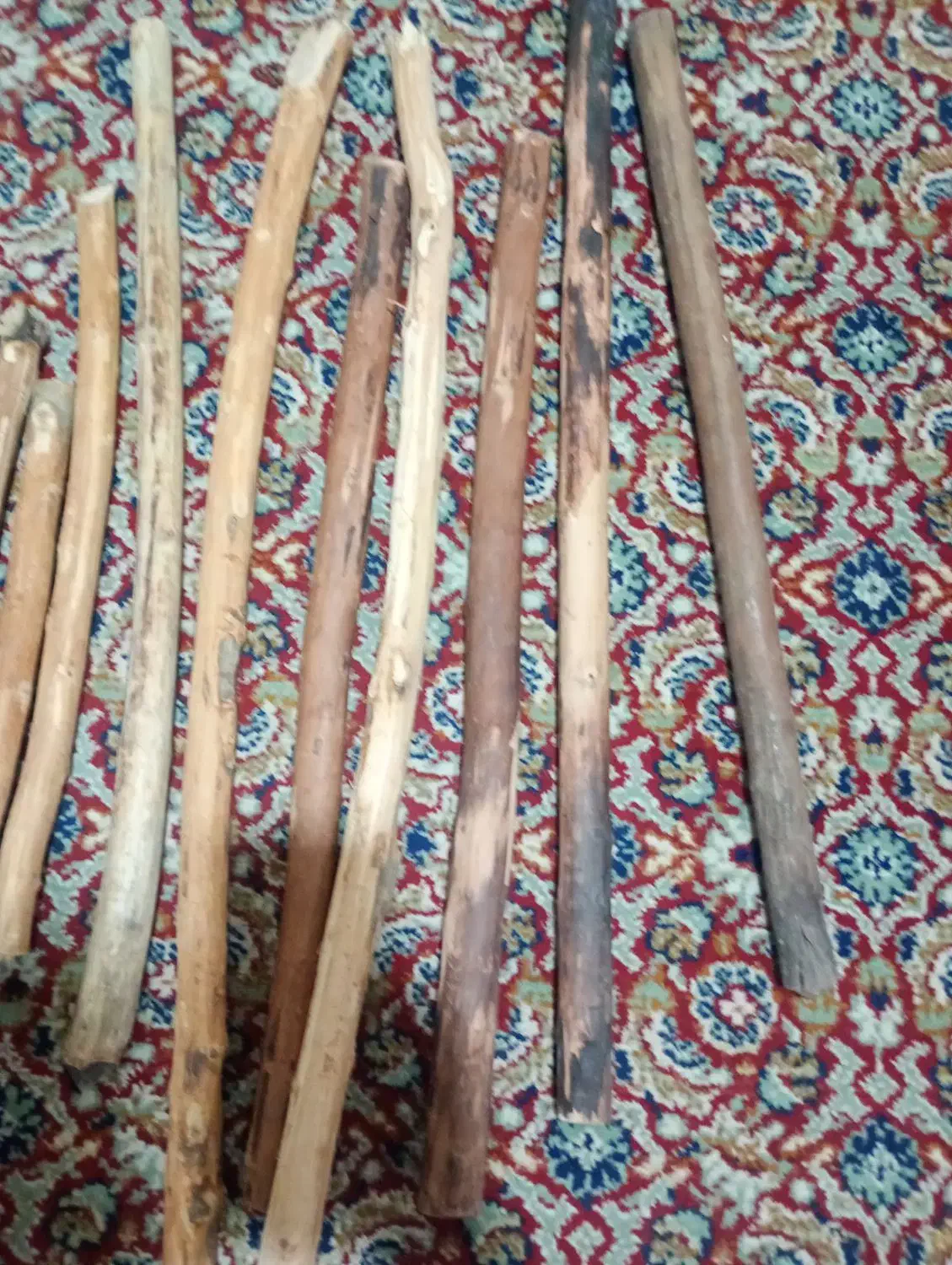 چوب جنگلی|کلکسیون و سرگرمی|زابل, |دیوار