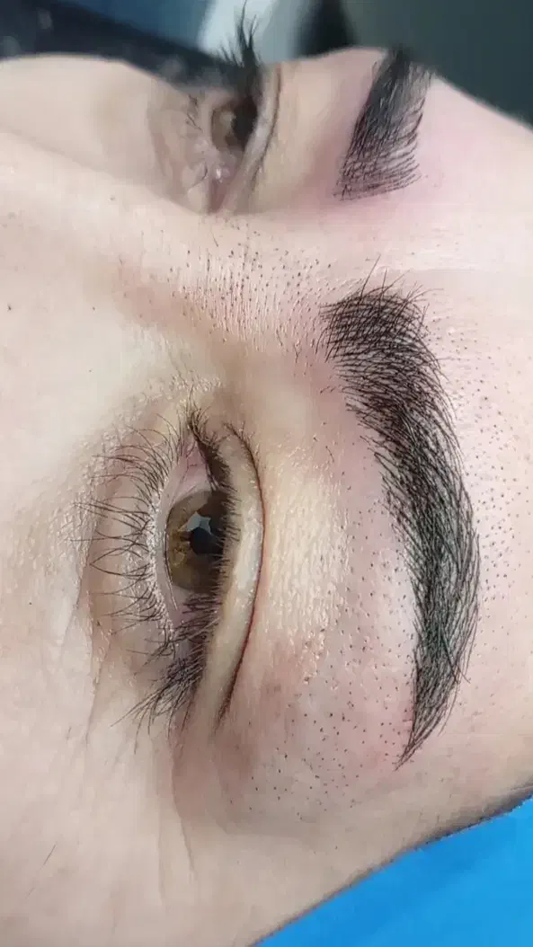 مدل میکروبلیدینگ و میکروپیگمنتیشن|خدمات آرایشگری و زیبایی|نیشابور, دهنو|دیوار