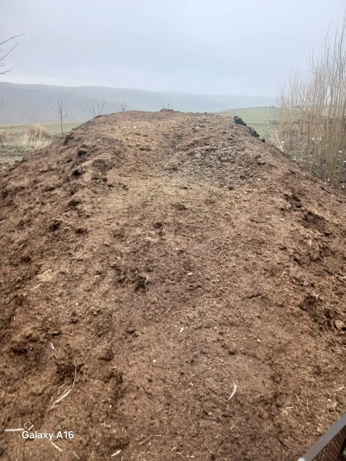 کود|لوازم جانبی حیوانات|امام, |دیوار