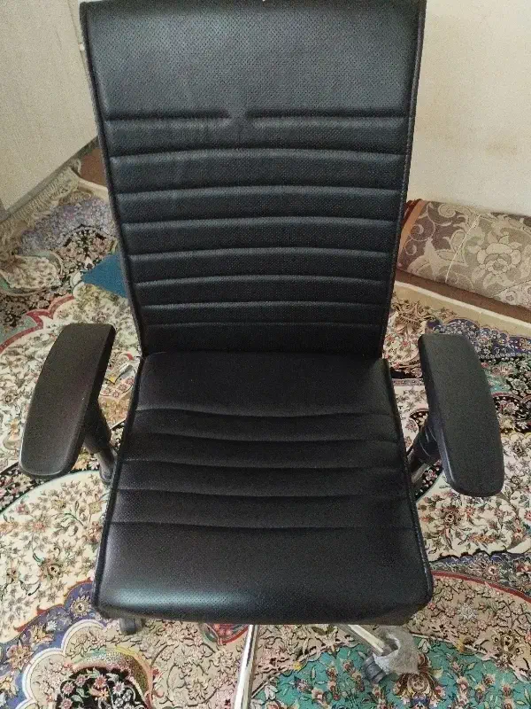 صندلی گردون|صندلی و نیمکت|نیشابور, شهرک بسیج|دیوار