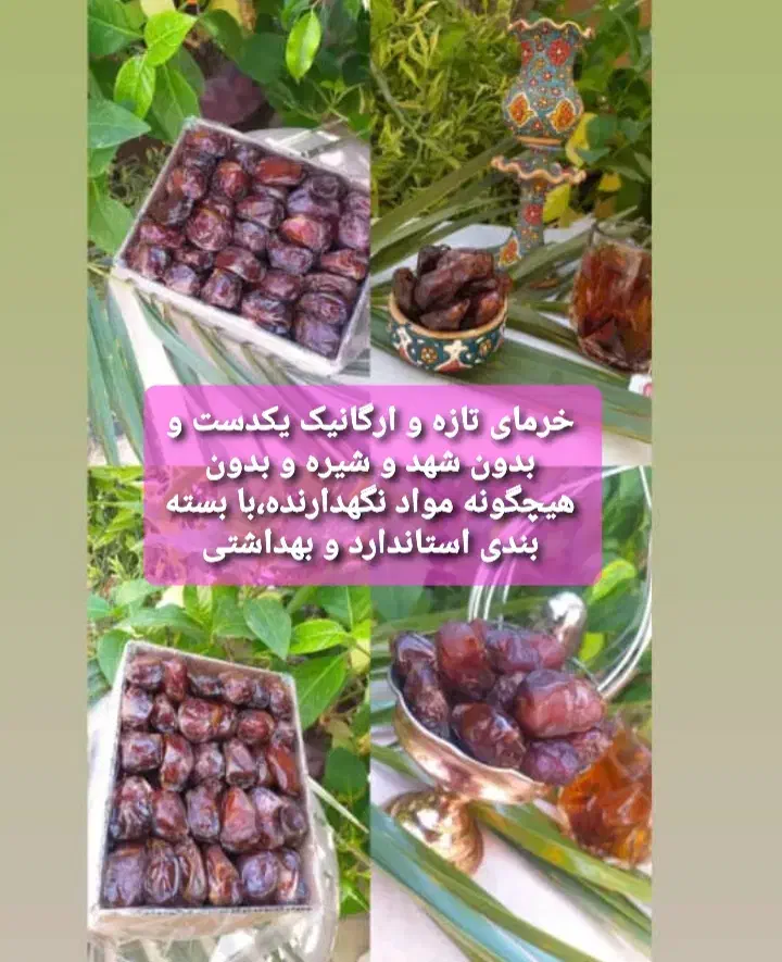 خرما|عمده‌فروشی|خشت, |دیوار