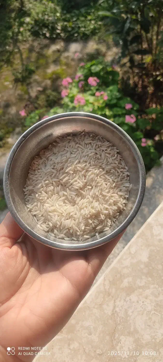 برنج هاشمی درجه یک|خوردنی و آشامیدنی|سنگر, |دیوار