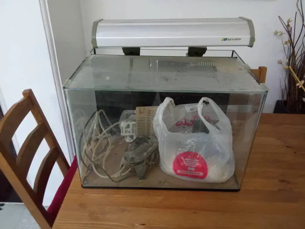 آکواریوم با تمام وسایل|ماهی|اهواز, کیانپارس |دیوار