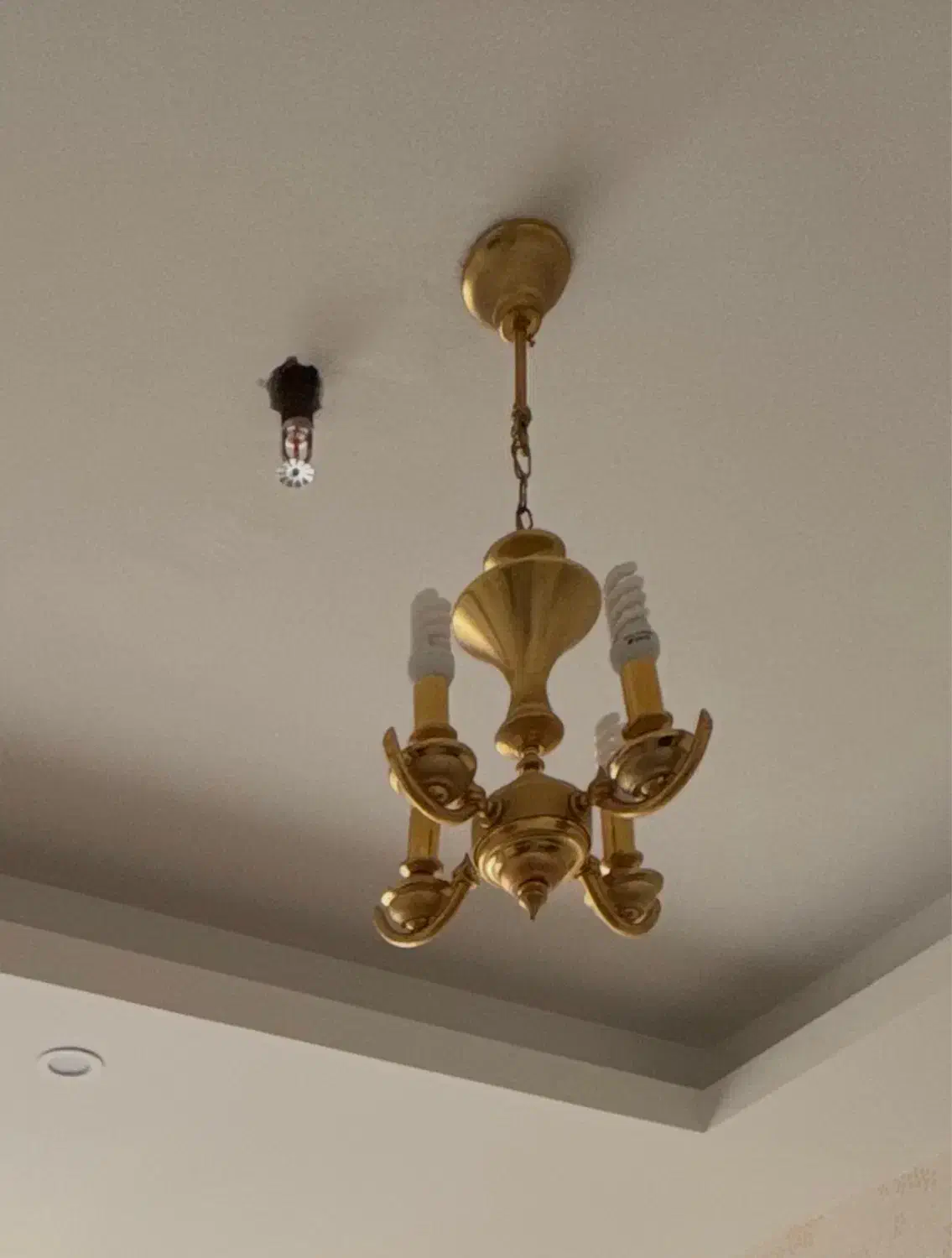 4عدد لوستر 4شعله برنجی اصل نشان دار|لوستر و چراغ آویز|اردبیل, |دیوار