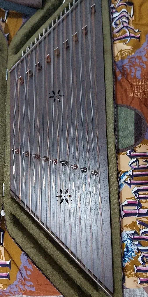 سنتور|سازهای سنتی|پاکدشت, پاکدشت (مامازند)|دیوار