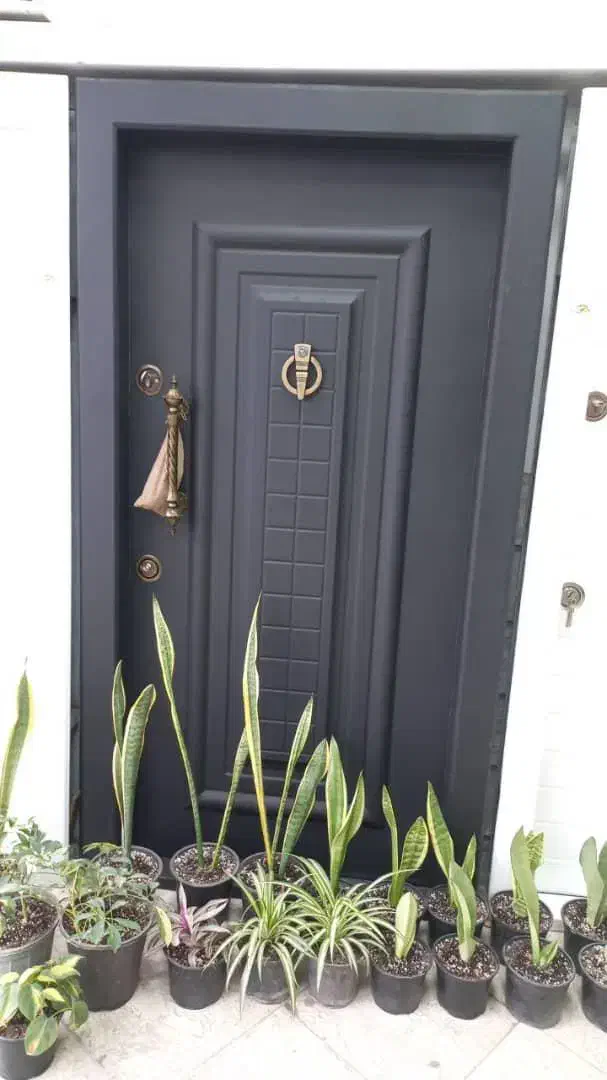 درب ضدسرقت|مصالح و تجهیزات ساختمان|رشت, سیا اسطلخ|دیوار