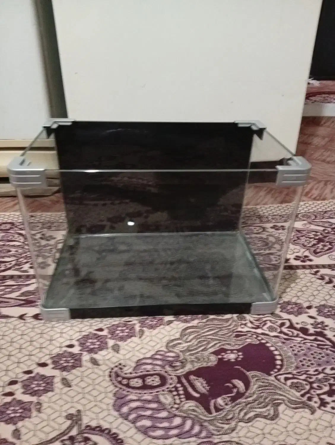 آکواریوم شیشه خم|ماهی|قرچک, مهدیه|دیوار