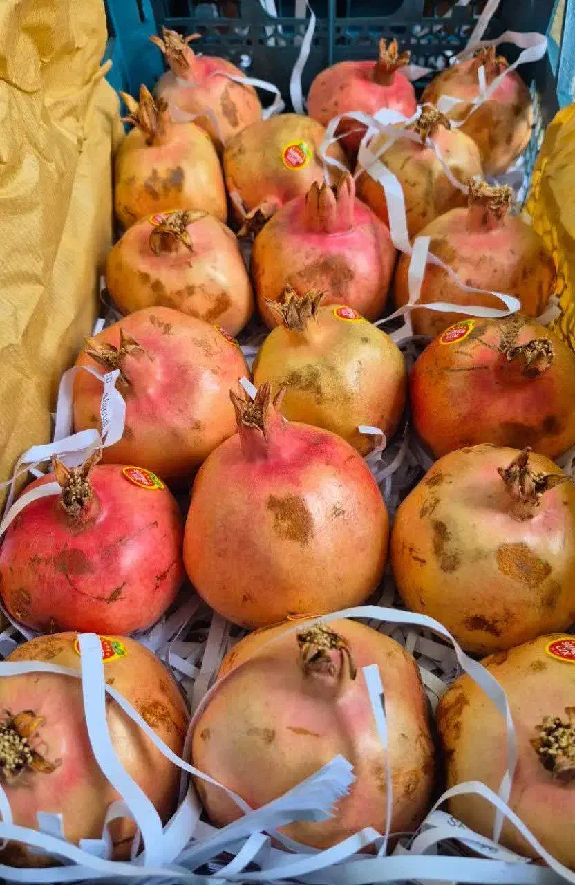 انار|خوردنی و آشامیدنی|قم, زاد|دیوار