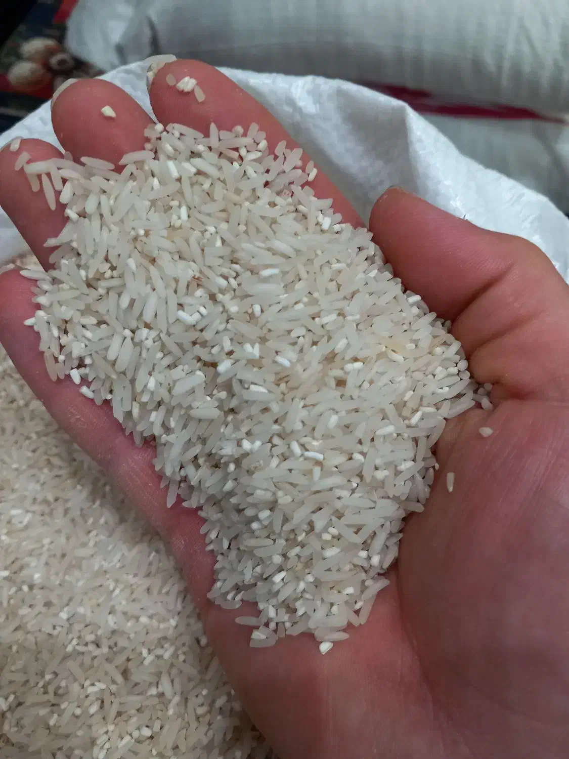 برنج سرلاشه وفجر موجود میباشد|خوردنی و آشامیدنی|گنبد کاووس, |دیوار