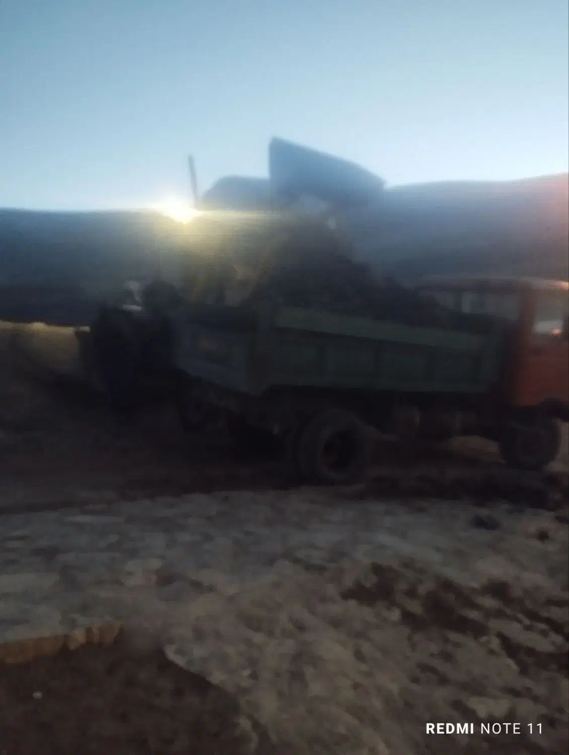 کود گوسفندی|خدمات باغبانی و درختکاری|اسکو, |دیوار