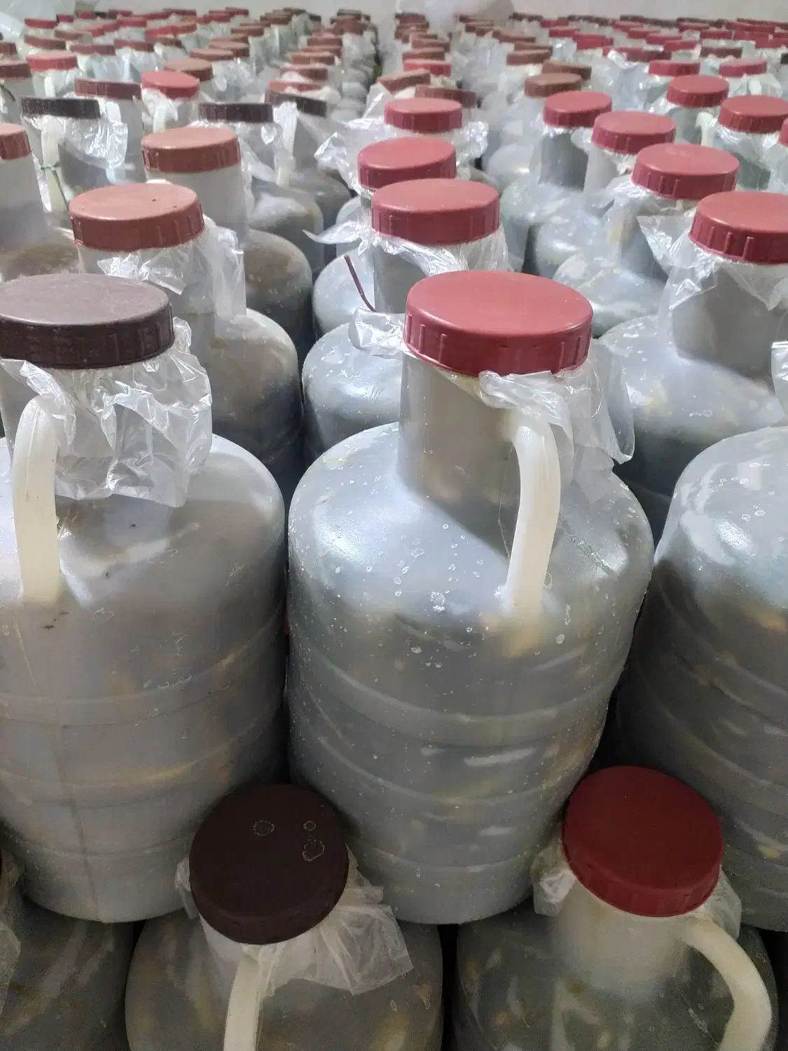 خیارشور آوین|خوردنی و آشامیدنی|سردرود, |دیوار