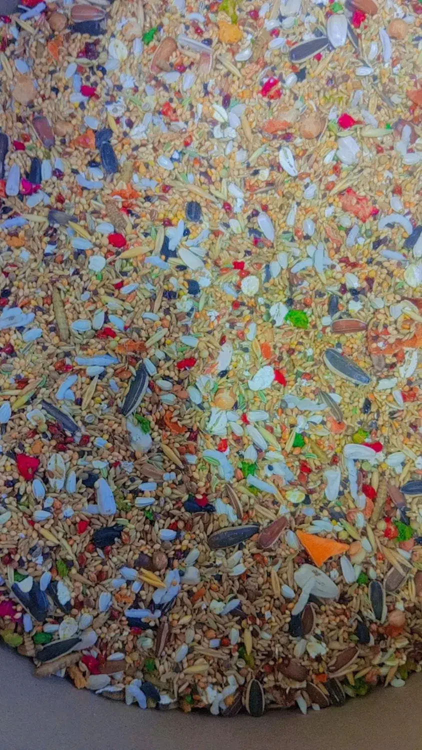 خشکبار|خوردنی و آشامیدنی|تاکستان, |دیوار