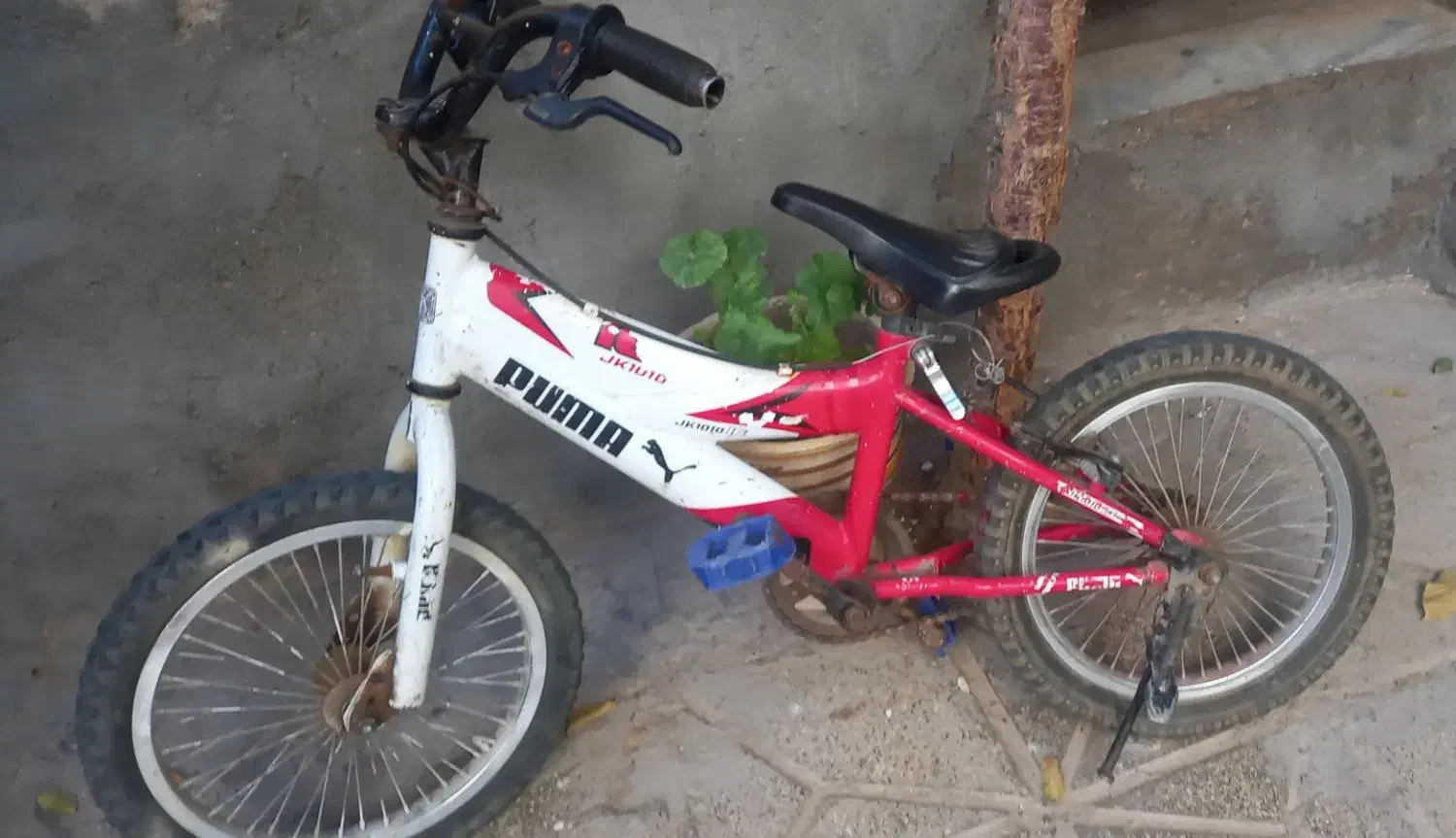 دوچرخه سایز۱۶|دوچرخه، اسکیت، اسکوتر|مشهد, رسالت|دیوار