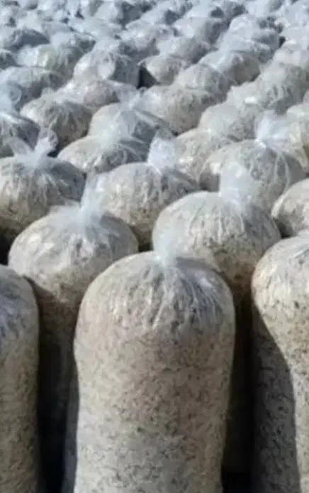 خرید فروش تفاله سیب چغندر نم دار و خشک|لوازم جانبی حیوانات|شیروان (خراسان), |دیوار