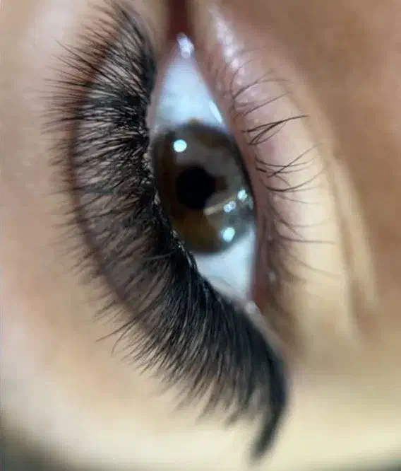 مژه|خدمات آرایشگری و زیبایی|مشهد, سید رضی|دیوار