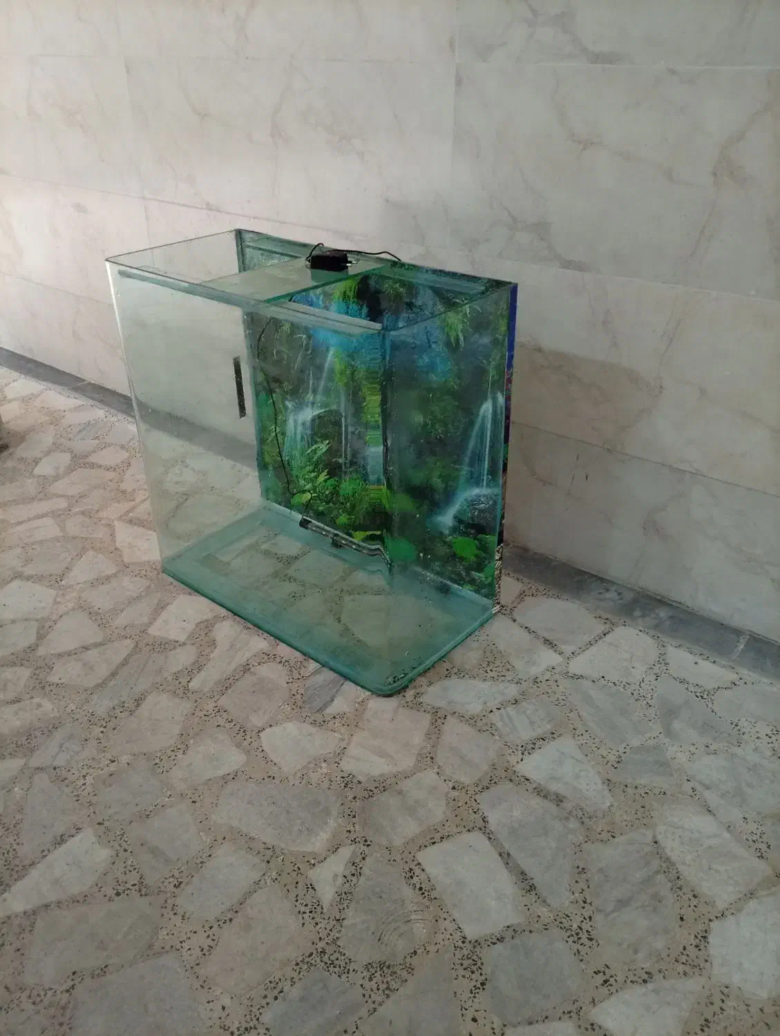 شیشه خمه آکواریوم همراه با متعلقات|ماهی|رشت, نظری|دیوار