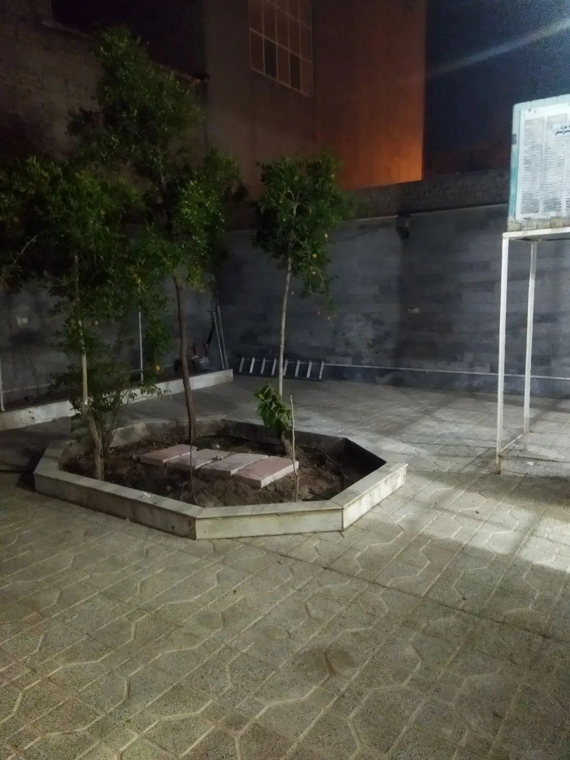 تصویر 10