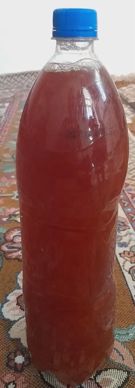 آبغوره طبیعی|خوردنی و آشامیدنی|شهرکرد, |دیوار