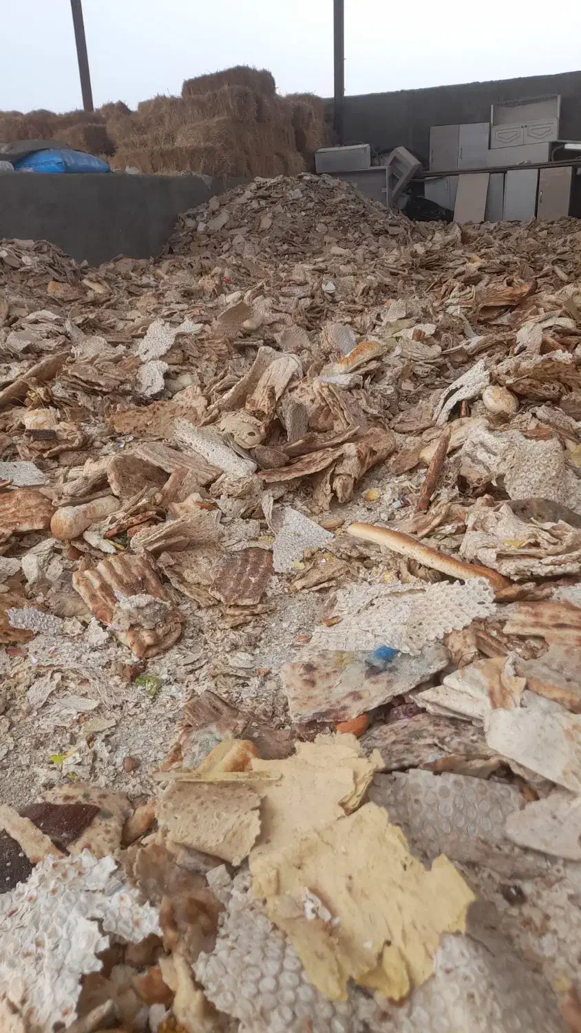 فروش نان خشک خشک|لوازم جانبی حیوانات|ورامین, خیر آباد|دیوار