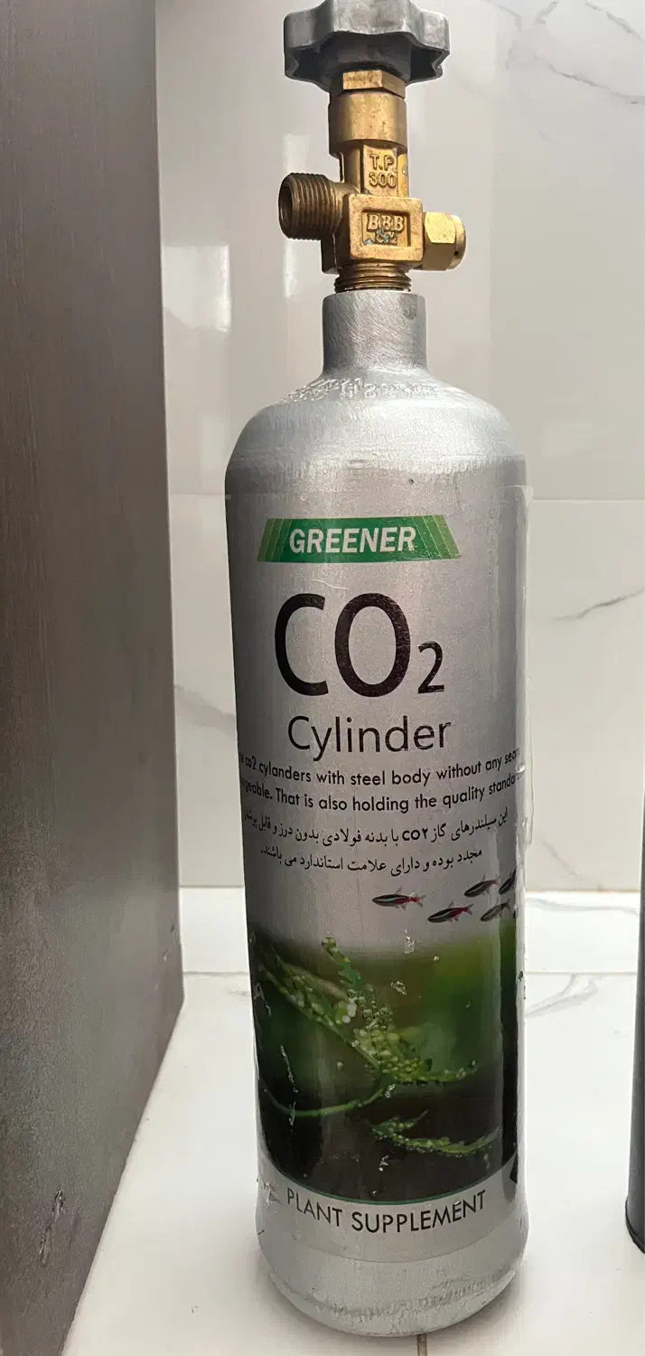 کپسول co2|ماهی|شیراز, ابیوردی|دیوار