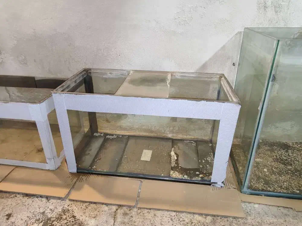 تعدادی آکواریوم|ماهیگیری|کرج, گوهردشت|دیوار