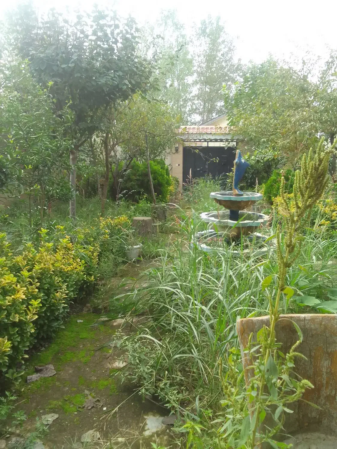 ۲۴۰ متر زمین مسکونی سند دار  شهرک سید احمد خمینی|فروش زمین و ملک کلنگی|رشت, شهرک احمد خمینی|دیوار