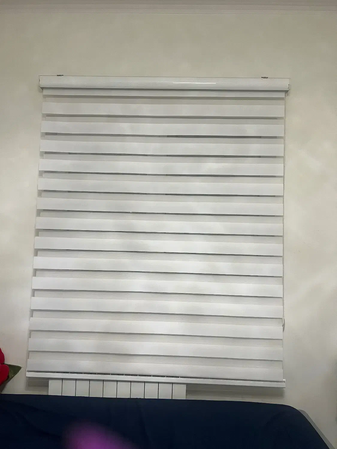 پرده زبرا در حد نو|پرده، رانر، رومیزی|بابل, |دیوار