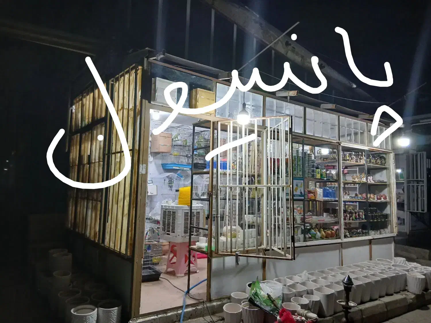 پرنده|پرنده|سنندج, |دیوار