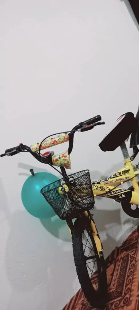 دوچرخه سایز16سالم وکم کارکرد|دوچرخه، اسکیت، اسکوتر|شهریار, رضی آباد بالا|دیوار