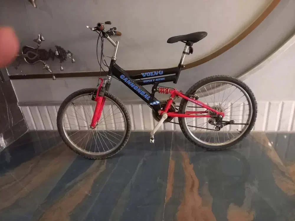 دوچرخه حرفه ای ۲۴ ارزان|دوچرخه، اسکیت، اسکوتر|کرج, شهرک بنفشه|دیوار