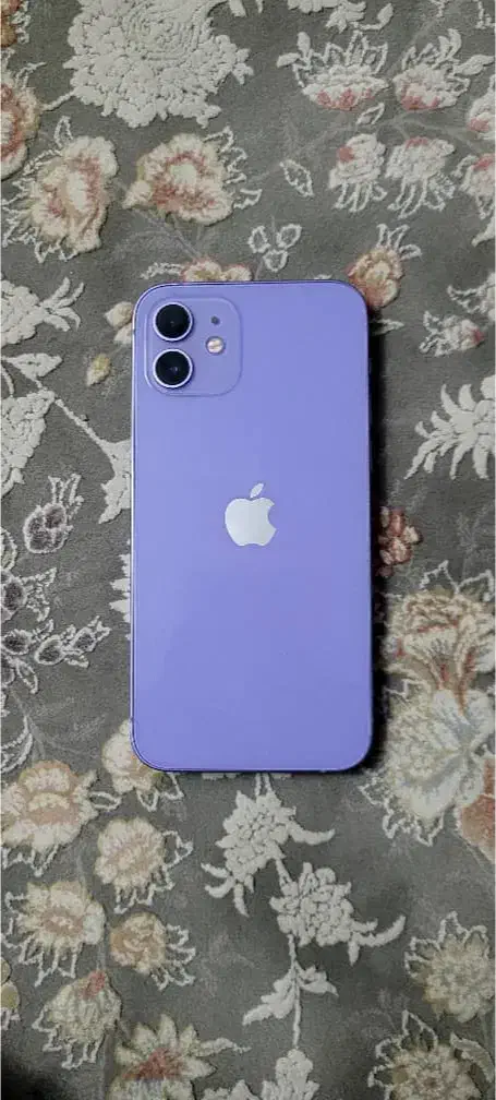 iphone 12 نرمال|موبایل|فردیس, شهرک ناز|دیوار