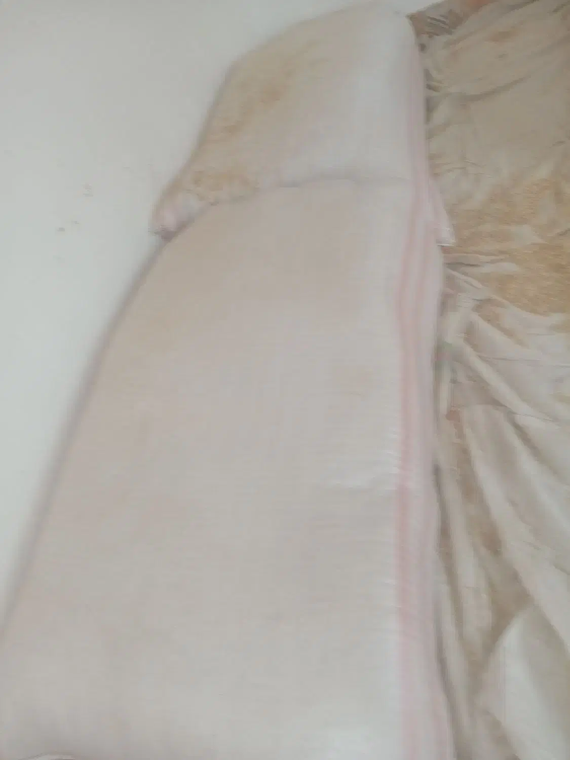 کاه گندم|حیوانات مزرعه|نگین شهر, |دیوار