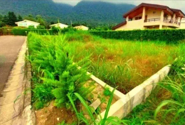 زمین ویو ابدی به کوه جنگل عیانی نشین قیمت کل و زدم|فروش زمین و ملک کلنگی|ایزدشهر, |دیوار