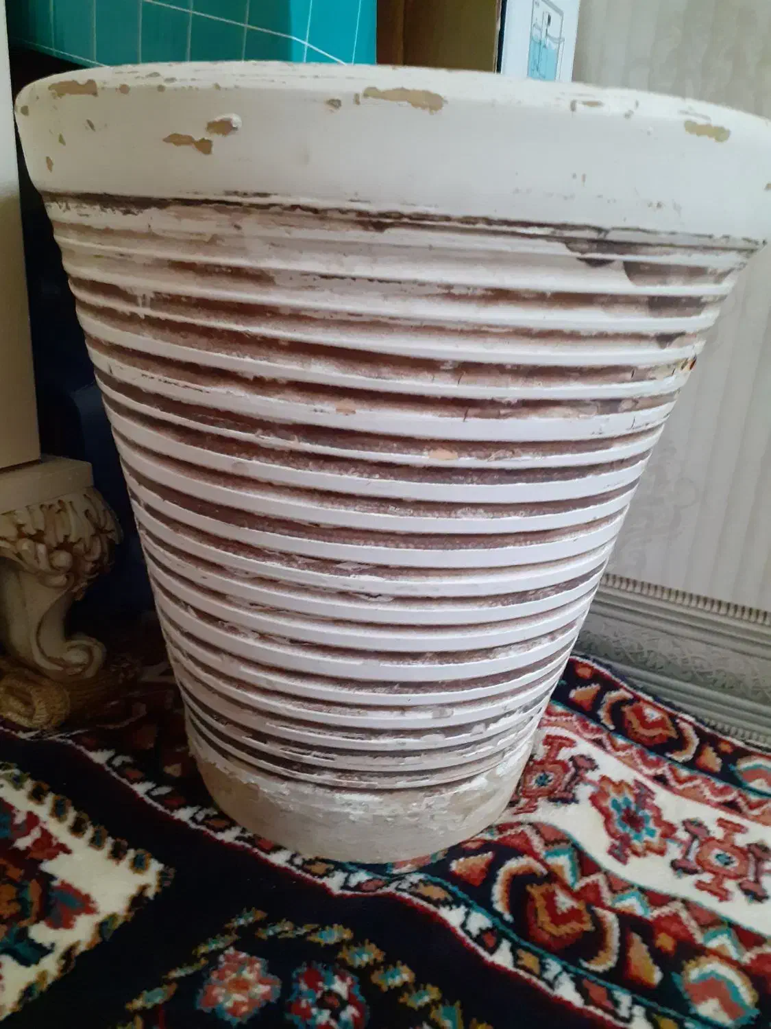 گلدان سفالی بزرگ|گل و گیاه طبیعی|اسلام‌‌آباد غرب, |دیوار