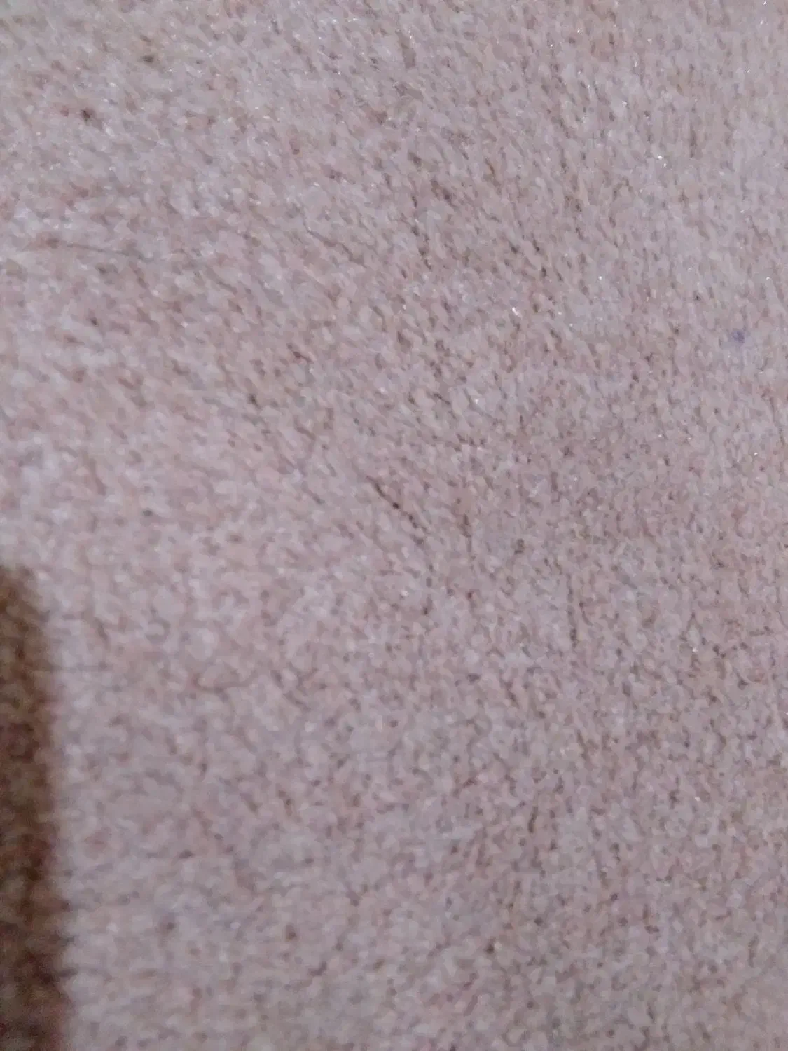 پلاژ موکت|موکت|گنبد کاووس, |دیوار