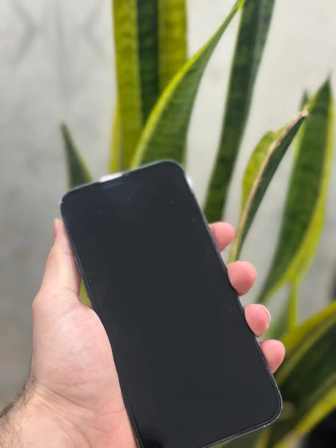 Iphone 13 pro max|موبایل|تبریز, |دیوار