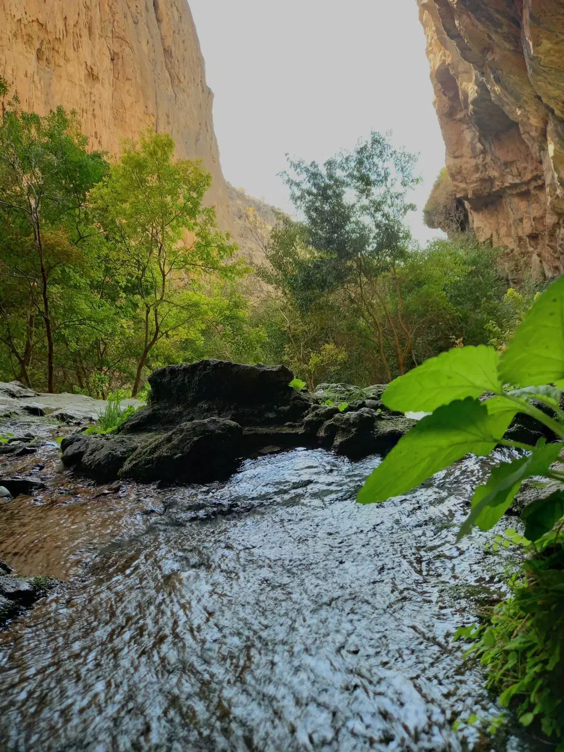 همکاری تولید محتوا ادیتور|خدمات رایانهای و موبایل|شیراز, فلکه گاز|دیوار