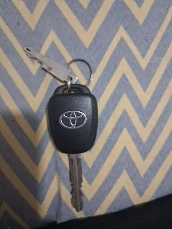 ریموت امپ پیچبند|کلکسیون و سرگرمی|فلاورجان, |دیوار