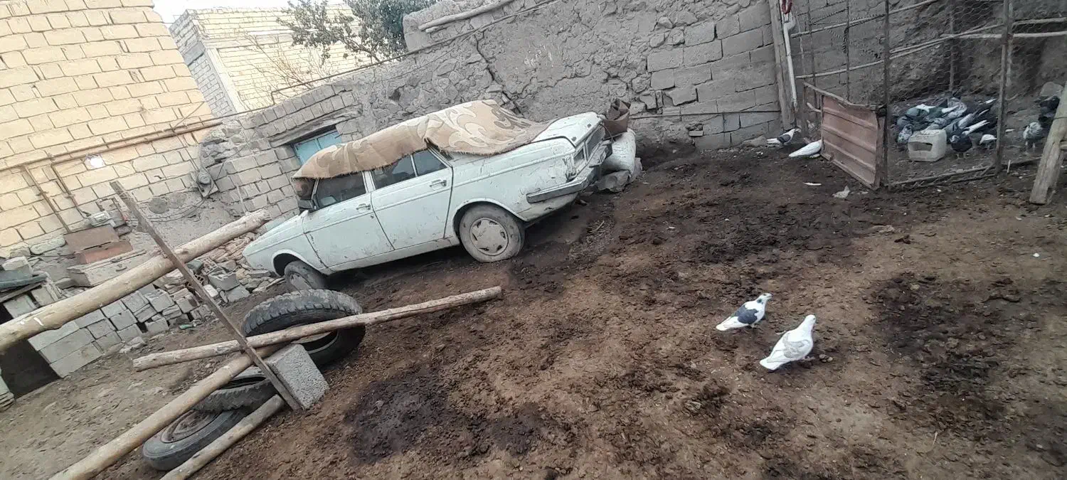 پیکان مدل ۸۲|خودرو سواری و وانت|سراب, |دیوار