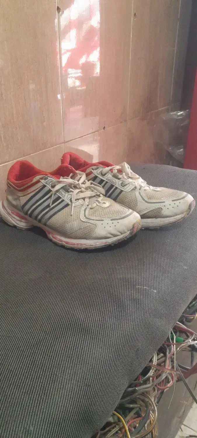 کتانی اصل|کیف، کفش، کمربند|اردبیل, |دیوار