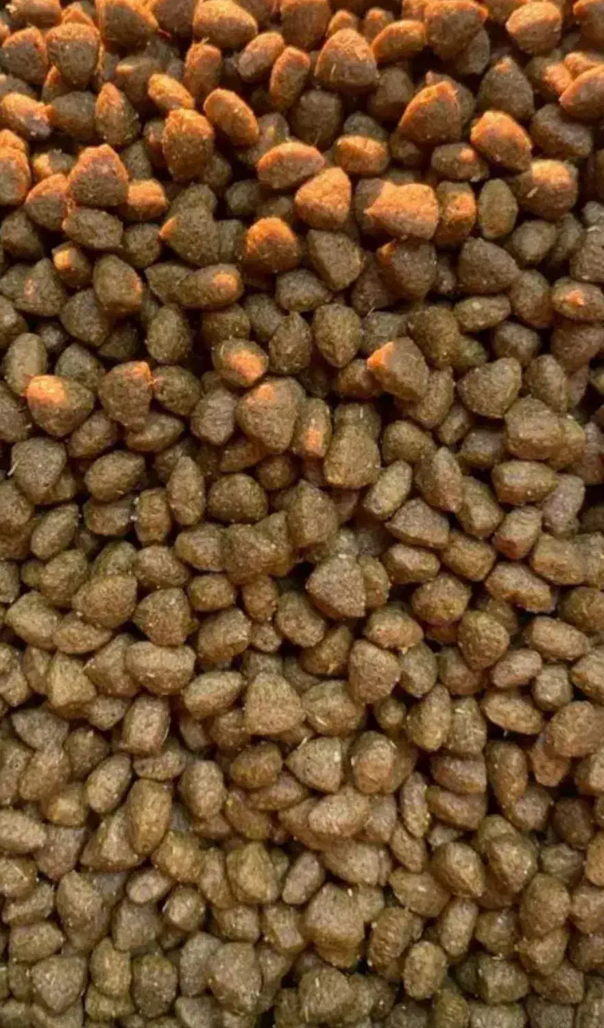 غذای گربه فیدار۲۹۵۰|لوازم جانبی حیوانات|تهران, صادقیه|دیوار