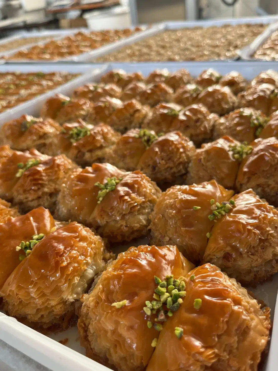 استخدام در مجموعه باقلوا استانبول|استخدام خدمات فروشگاه و رستوران|اهواز, کمپلو جنوبی|دیوار