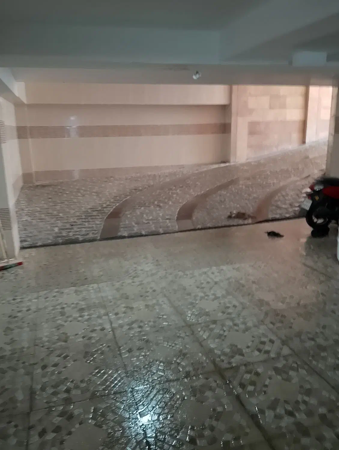 تمیز کاری نظافت منزل با وسایل کامل فقط|خدمات نظافت|اصفهان, احمدآباد|دیوار