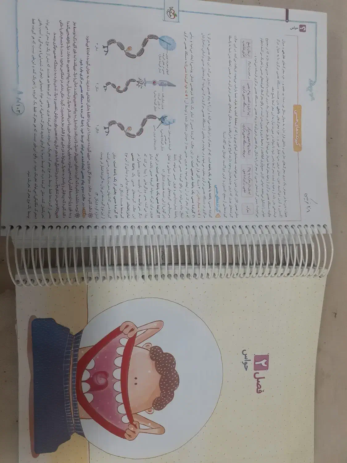 کتاب تست زیست یازدهم  تجربی|کتاب و مجله آموزشی|قم, شاه ابراهیم|دیوار